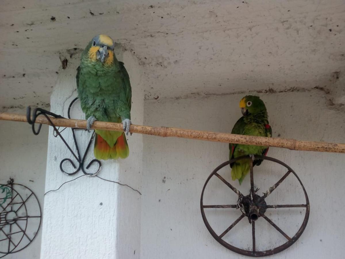 Finca Turistica Santa Clara Hostel กาลาร์กา ภายนอก รูปภาพ