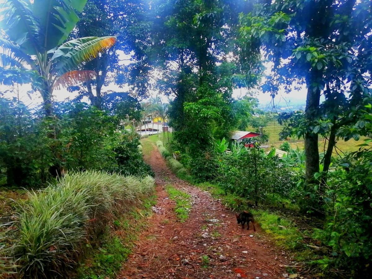 Finca Turistica Santa Clara Hostel กาลาร์กา ภายนอก รูปภาพ